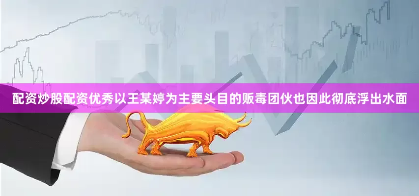 配资炒股配资优秀以王某婷为主要头目的贩毒团伙也因此彻底浮出水面