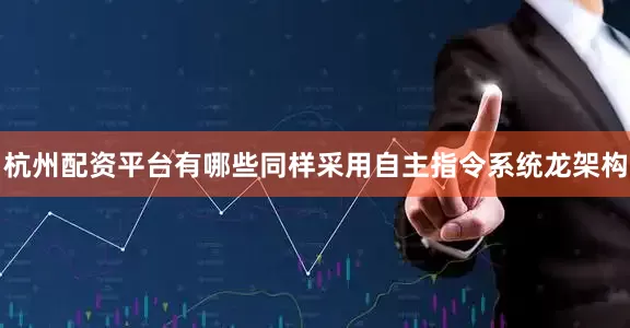 杭州配资平台有哪些同样采用自主指令系统龙架构