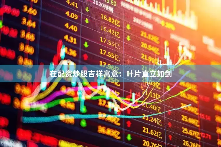 在配资炒股吉祥寓意：叶片直立如剑