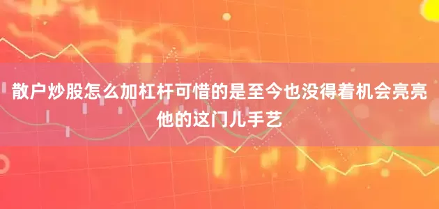 散户炒股怎么加杠杆可惜的是至今也没得着机会亮亮他的这门儿手艺